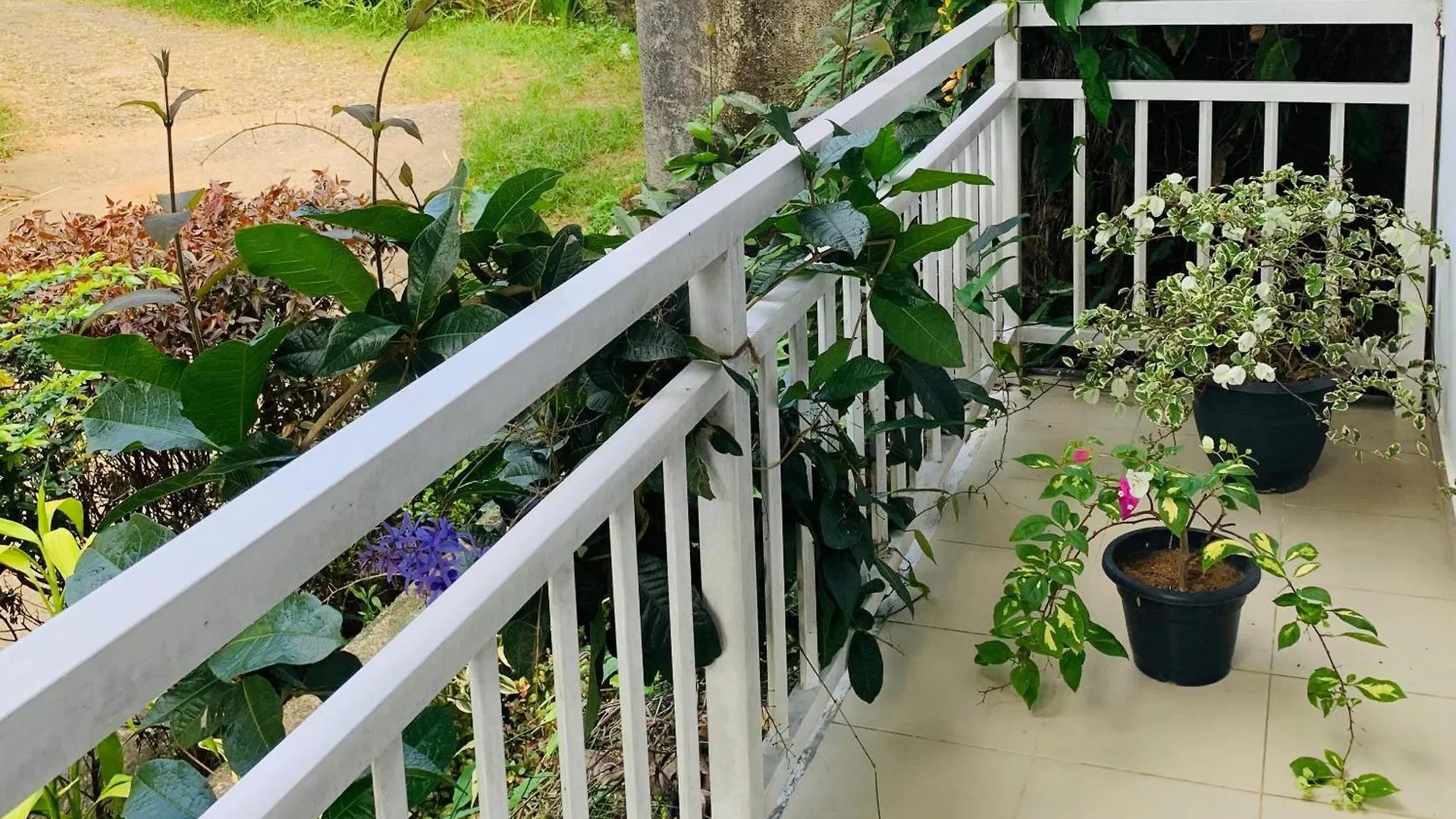 The Chocolate Factory House, Kandy- Exclusive Private Apartment Sri Lanka